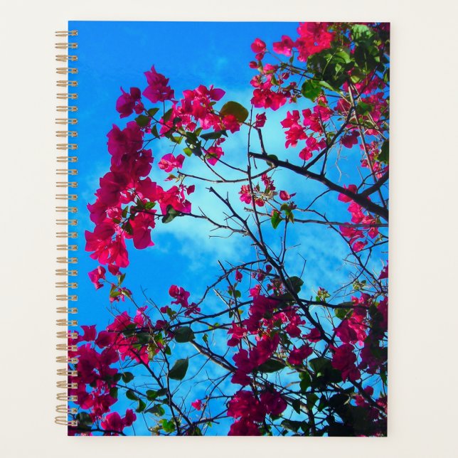 Agenda Ma jolie 2 (Frente)