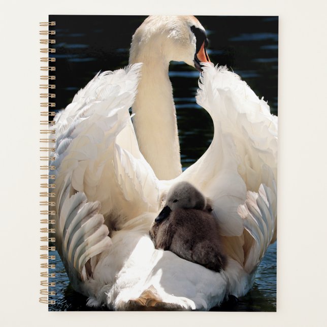 Agenda Mãe Swan com Cygnets (bebês-cisnes) (Frente)