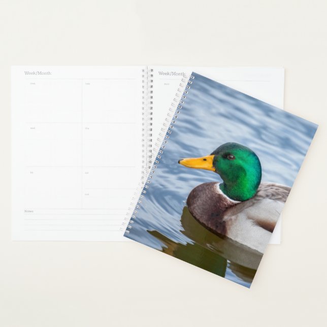 Agenda Mallard Duck (Exibição)