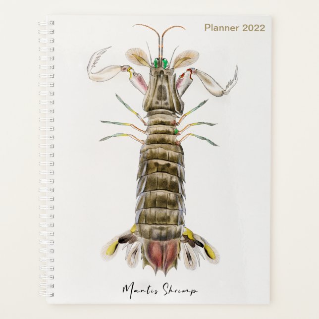 Agenda Mantis Shrimp, Stomatopod, James Ellsworth De Kay, (Frente)