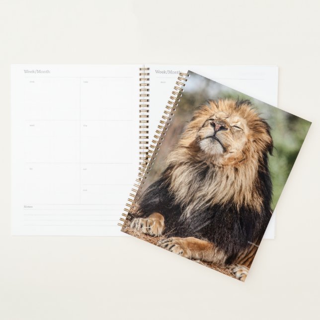 Agenda Masculino Lion Sunbelt (Exibição)