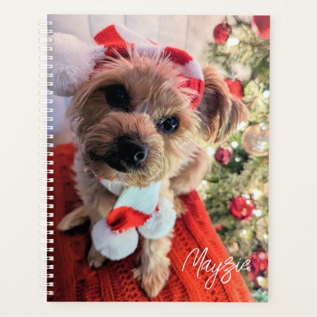 Agenda Mayzie Planner (Frente)