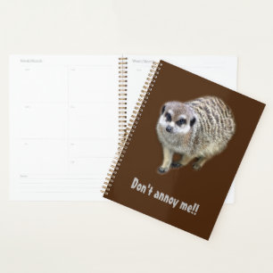 Agenda Meerkat rabugento