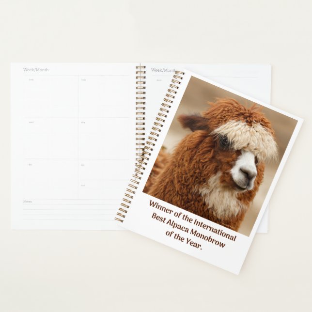 Agenda Melhor Sobrancelha Única de Alpaca (Exibição)