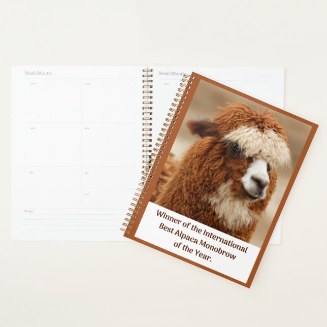 Agenda Melhor Sobrancelha Única de Alpaca (Exibição)