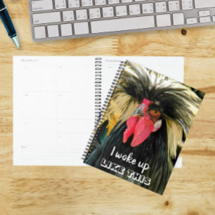 Agenda Memória Fotográfica Engraçado Engraçado