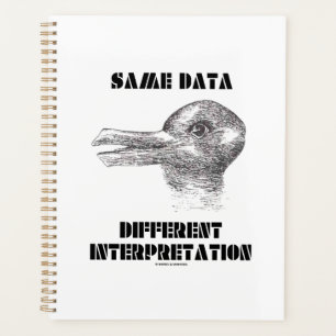 Agenda Mesmos Dados Diferentes Interpretação Rabbit Pat