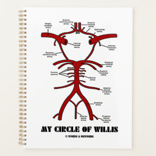 Agenda Meu Círculo De Artérias Willis Humor Anatômico