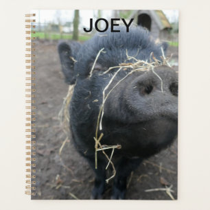 Agenda Meu porco de estimação.