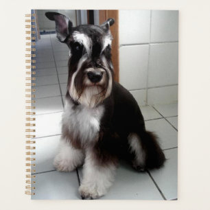 Agenda Miniatura Schnauzer Sentado Preto e Prateado