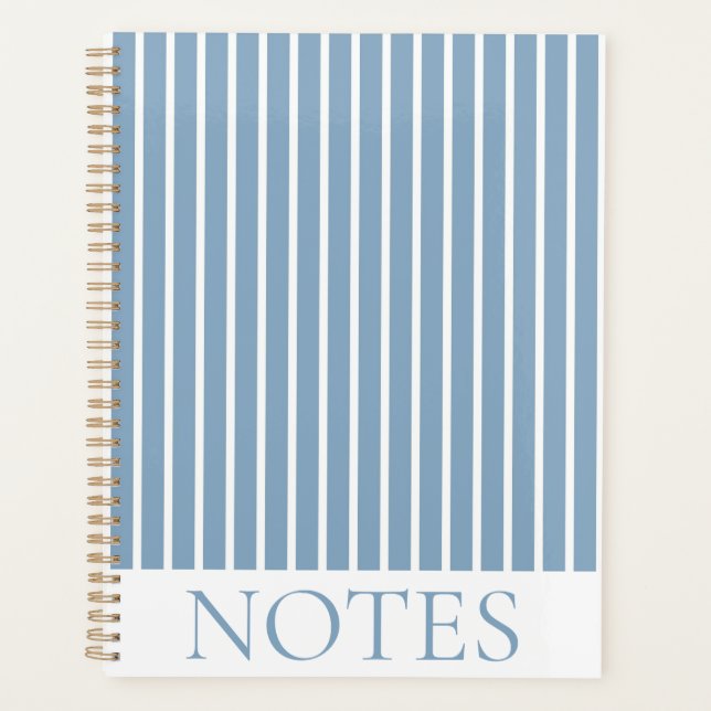 Agenda Minimalista de Stripe Vertical Azul (Frente)