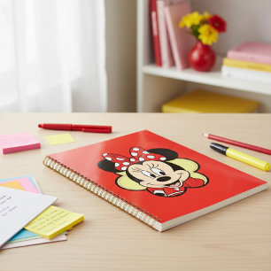 Agenda Minni