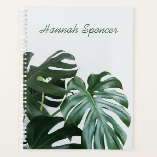 Agenda Modern Monstera