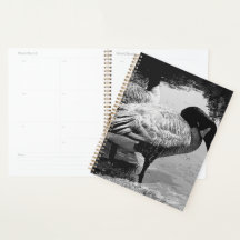 Momento Silencioso em Preto e Branco perto do Lago