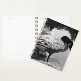 Agenda Momento Silencioso em Preto e Branco perto do Lago