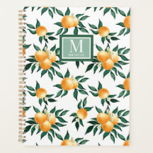 Monograma de Nome de Laranja Água-Marinha