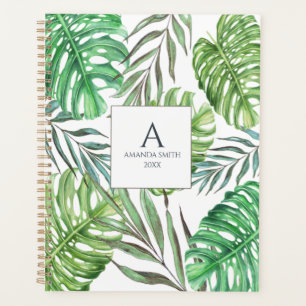 Agenda Monstera e palmeiras