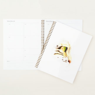 Agenda Mow Mow Bird Assistindo