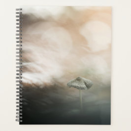 Agenda Mushroom Nature Photo