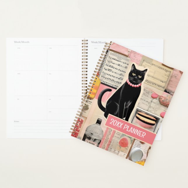 Agenda Músicas colidem gato com bolos (Exibição)