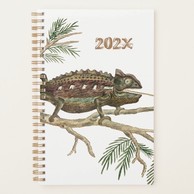 Agenda Namaqua chameleon Lizard Reptile Gecko Jigsee (Frente)