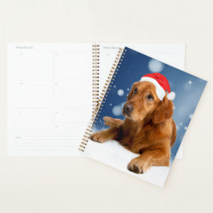 Agenda Natal Cachorro Golden Retriever Cute Chapéu do Pap