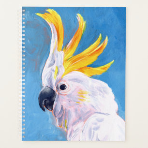 Agenda Neon Mohawk - Cockatoo