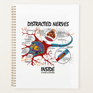 Agenda Nervos distraídos Dentro Neuron Synapse Humor
