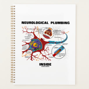 Agenda Neurologia Canalização Dentro Neuron Synapse Humor