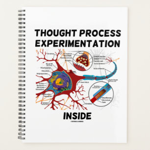 Agenda Neuron de Dentro de Experimentação de Processos