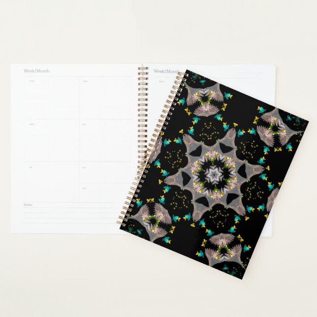 Agenda Noite de Veludo Kaleidoscópio (Exibição)