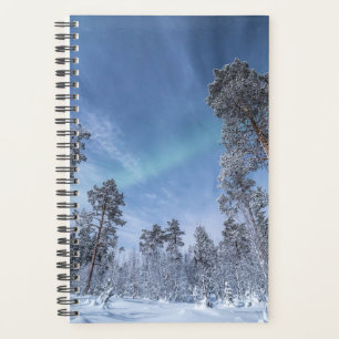 Agenda Norte Lights Noruega