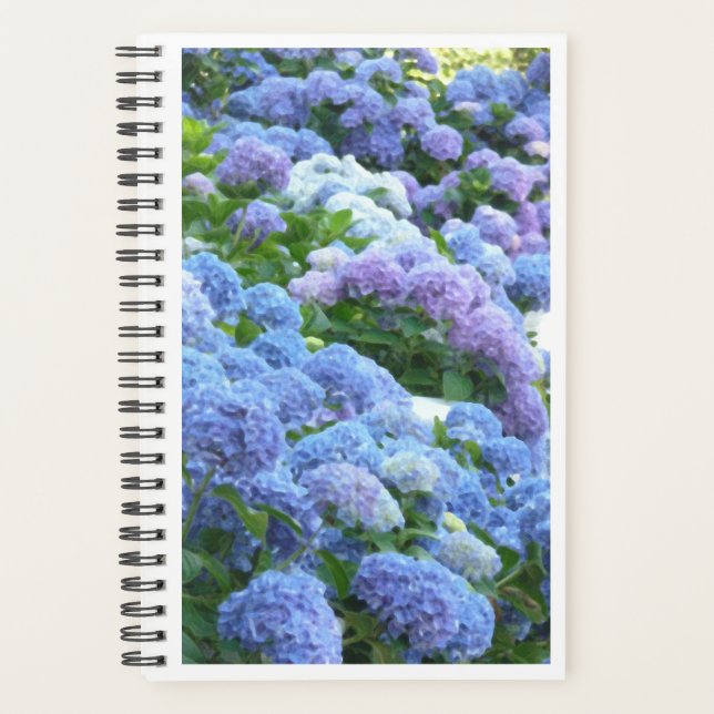 Agenda Notebook espiral Blues Muse Hydrangeas (Frente)