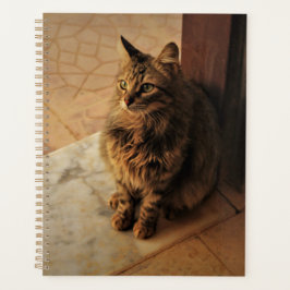 Agenda Notebook Gatinho pacífico