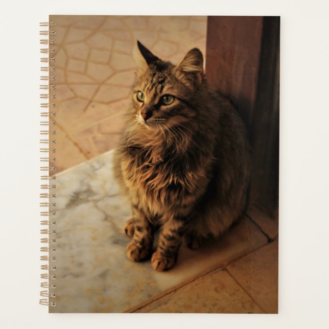 Agenda Notebook Gatinho pacífico (Frente)