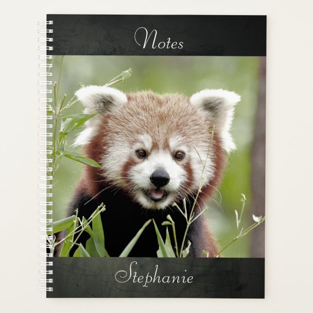 Agenda Notebook Photo red panda, animais 01. notebook (Frente)