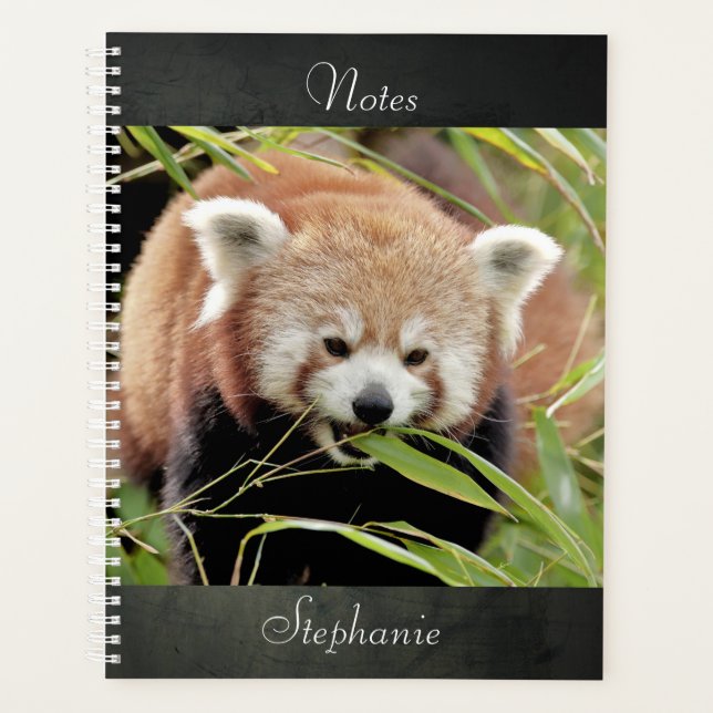 Agenda notebook Photo Red Panda, animais 02. notebook (Frente)