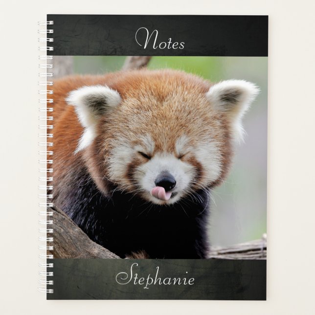 Agenda notebook Photo Red Panda, animais 03. notebook (Frente)