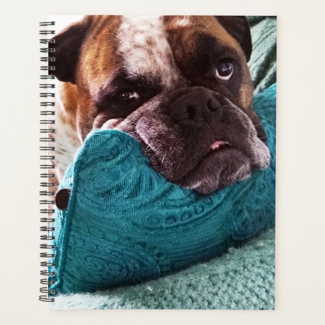 Agenda Notebook Vitoriano Bulldog Foto 8x11 (Frente)