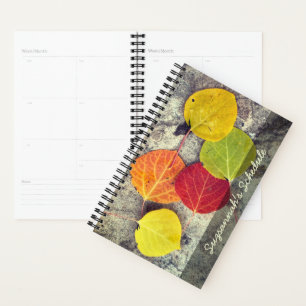 Agenda O Autumn Aspen Colorido Deixa Foto Personalizada