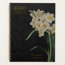 O Narcissus Tazetta: Perfeição Paperwhite