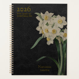 Agenda O Narcissus Tazetta: Perfeição Paperwhite
