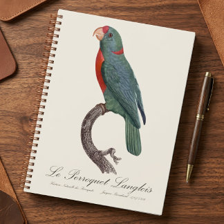 Agenda O Papagaio Langlois por Jacques Barraband