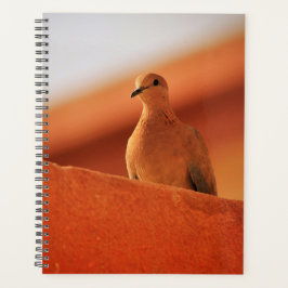 Agenda O rosto do notebook de determinação