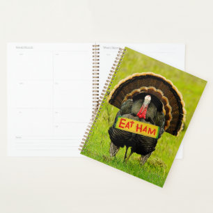 Agenda O SlipperyJoe orgulhoso peru come presunto paleta