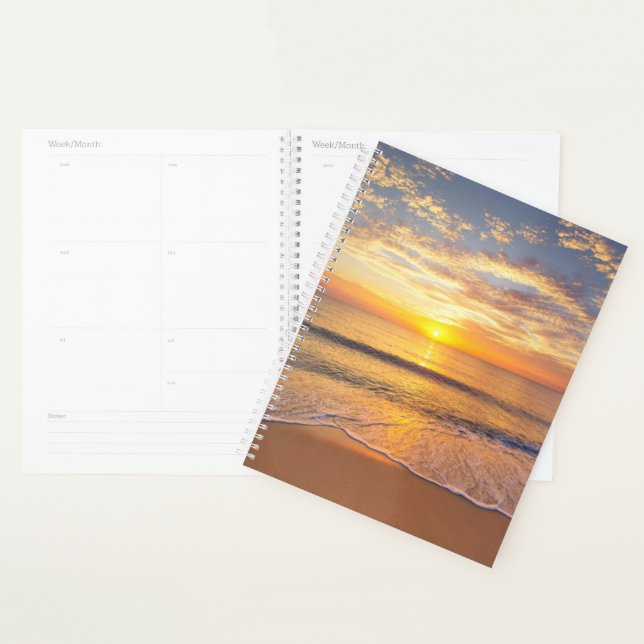 Agenda O Sol da Manhã à beira-mar (Exibição)