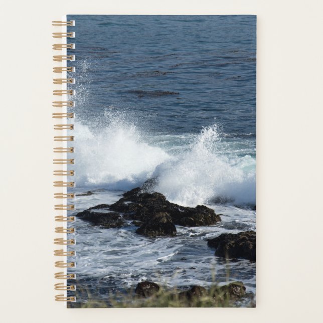 Agenda O surf do Oceano Pacífico (Frente)