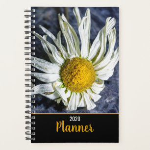 Agenda Ocasiões Especiais de Flores Brancas Modernas