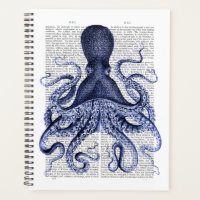 Octopus azul
