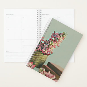 Agenda Ofertas únicas para bibliotecários